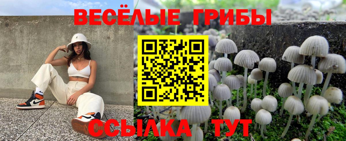 Псилоцибиновые грибы Magic Shrooms  Псилоцибиновые грибы Cubensis  Орехово-Зуево  Вход с VPN 